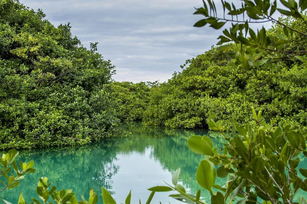 Cielo Maya Beach Tulum