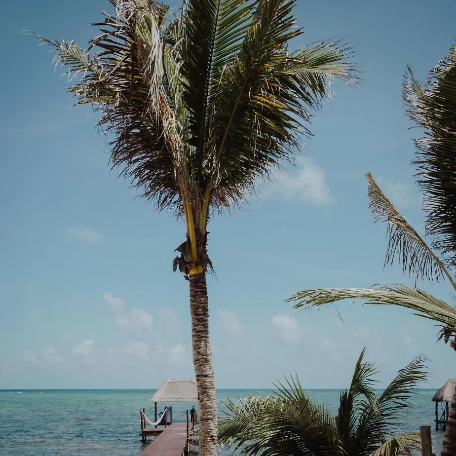 Cielo Maya Beach Tulum Szálloda